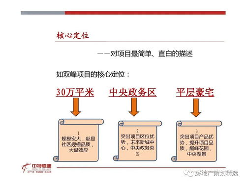 策劃 房地產營銷策劃思路精髓.ppt